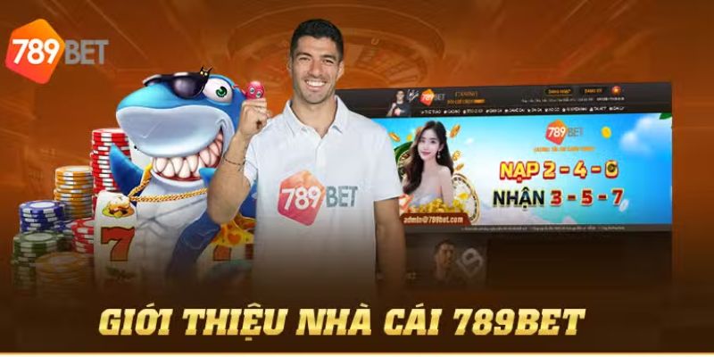 Giới thiệu về 789 BET